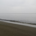 検見川浜　海その８３８　IMG_2911