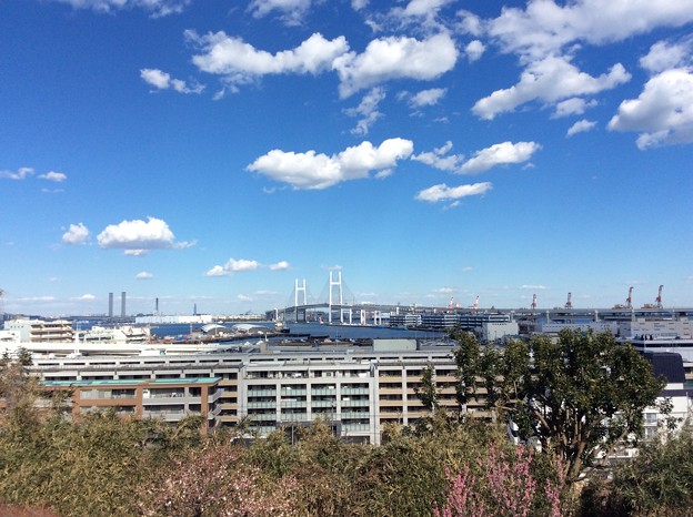 横浜 海の見える丘公園からの眺め２
