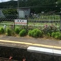 Photos: 上枝(ほずえ)駅