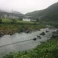 Photos: 長良川の流れ９
