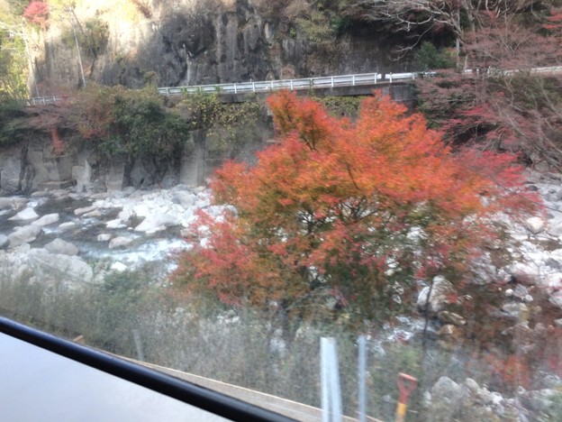 名松線沿線風景１ ～紅葉～