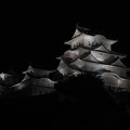 Photos: 夜の白鷺城