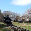 Photos: C57186号蒸気機関車