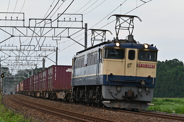 貨物列車 (EF652065)