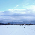 Photos: 雪　原