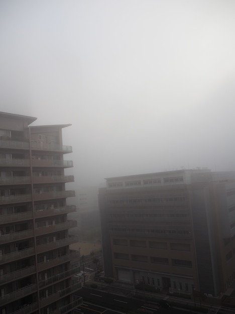 早朝濃霧（１０月３０日）