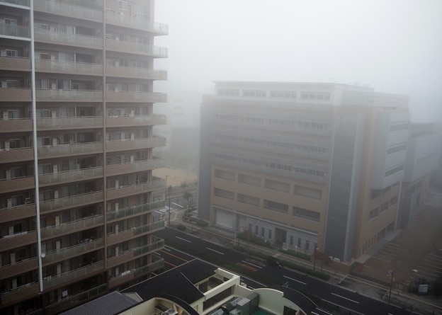 早朝濃霧（１０月３０日）