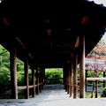 東福寺通天楼４