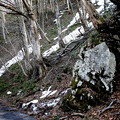 岩と残雪の林