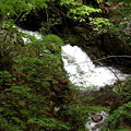 小倉の滝への滝風景2