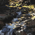 紅葉と渓流の徳和渓谷