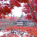 昭和公園の日本艇の紅葉