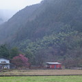 Photos: 里山