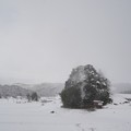 Photos: 雪見ドライブ (4)