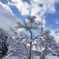 Photos: 雪見ドライブ (1)