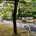 Photos: 広島市中央公園 ひろしま美術館前 広島市中区基町 2018年8月31日