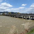 増水渡月橋