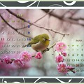Photos: 如月カレンダー