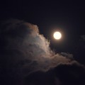 Photos: 満月
