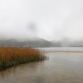 Photos: 06久々子湖 (4)