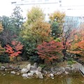 Photos: 新梅田シティ・中自然の森