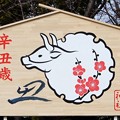 Photos: 2021石切神社絵馬