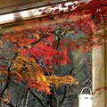 Photos: 窓の外は秋