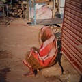 Photos: 不安な日々～インド Indian Old Woman