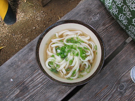 がもううどんかけ