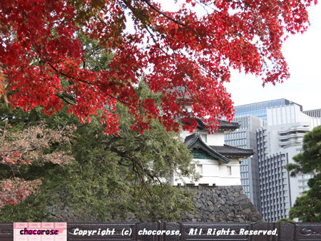 紅葉と富士見櫓の先の大手町のビル群