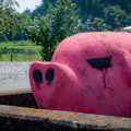 Photos: ピンクな豚1＠嵐山
