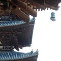 Photos: 2019.08.02　興福寺　東金堂から五重塔