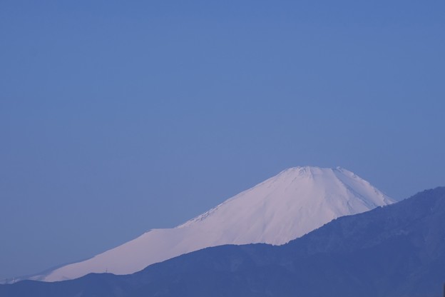 Photos: 2020.02.08　駅前　富士山