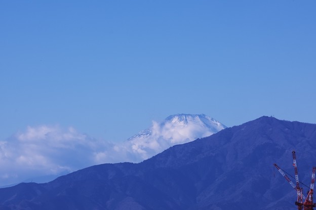 Photos: 2021.01.02　瀬谷市民の森　富士山