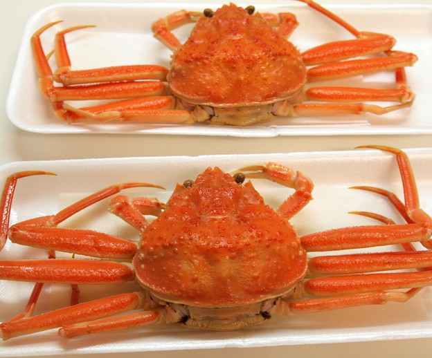 せこ蟹 Mikageマダムの夕食レシピ