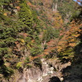 秋の三段峡にて(石樋)