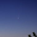 13年3月21日 パンスターズ彗星(C2011 L4)