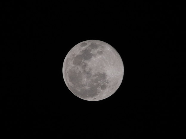 Photos: 今日(2月9日)の満月