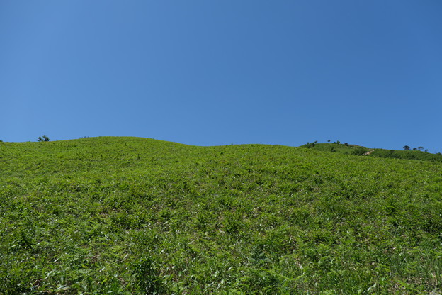 高原の風景(2)