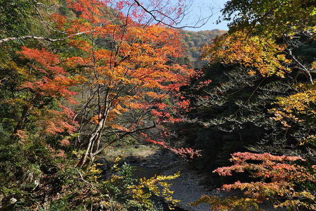 秋の三段峡(1)