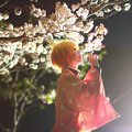 Photos: 紅蓮桜