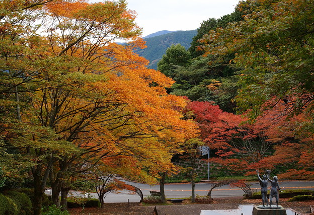 姫沙羅公園の秋色