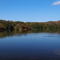 Photos: 秋の青空と湖畔と