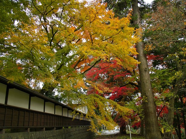 山寺も秋色に覆われし