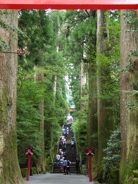 箱根神社は参拝者の列…