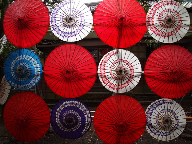 Photos: 晩秋の陽光を透かして和傘