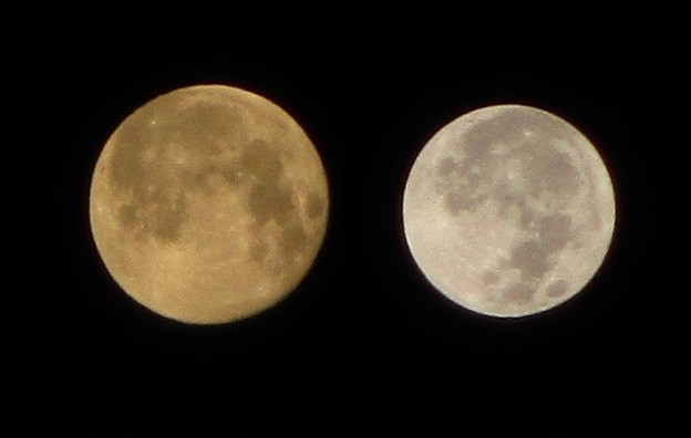 Photos: 201101今年最大の月と最小の月