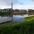 Photos: １８日・綾瀬川
