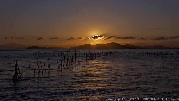 琵琶湖：魞の夜明