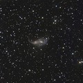 Photos: おおいぬ座の子持ち星雲NGC2207